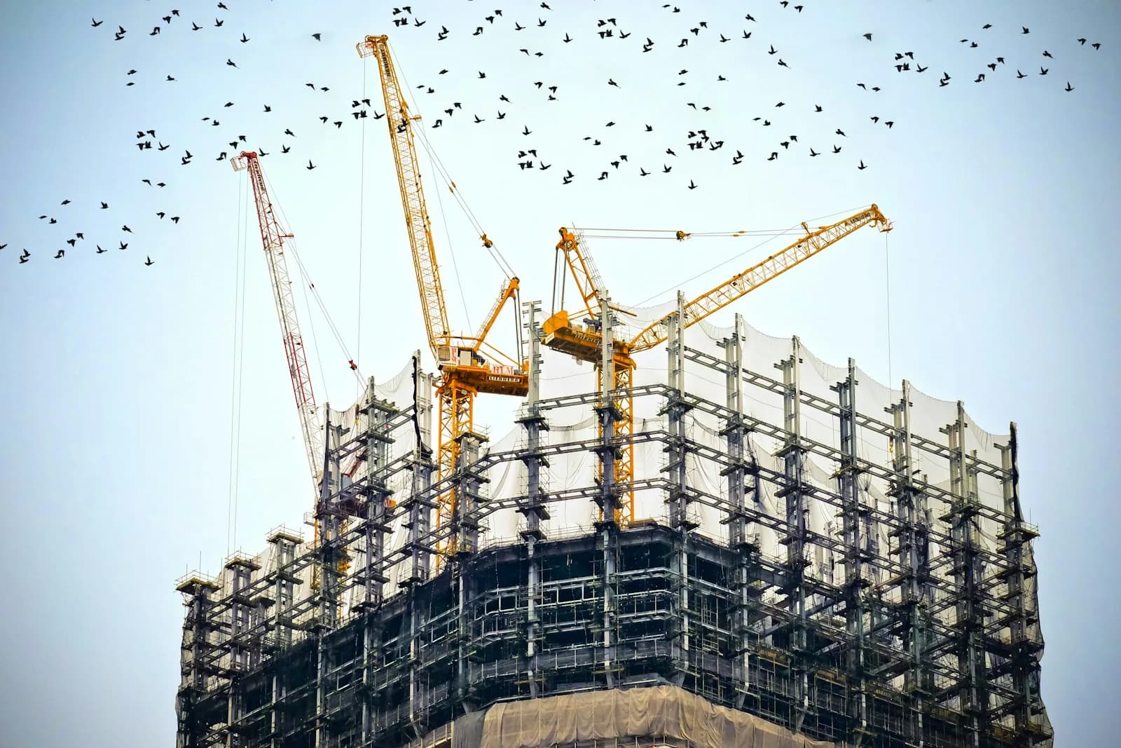Tower and mobile cranes working a high-rise structure