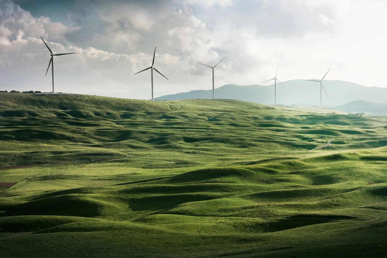 Wind turbines across open hills — the energy transition our practices support